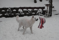 Coralie beim Spielen